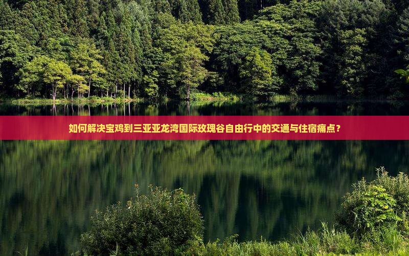 如何解决宝鸡到三亚亚龙湾国际玫瑰谷自由行中的交通与住宿痛点？