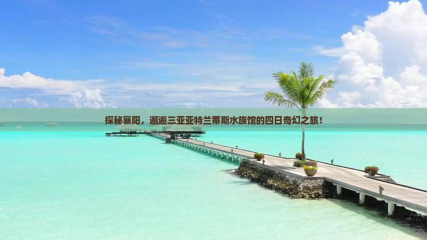 襄阳前往三亚亚特兰蒂斯水族馆四日游