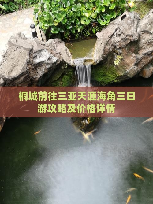桐城前往三亚天涯海角三日游 桐城前往三亚天涯海角三日游