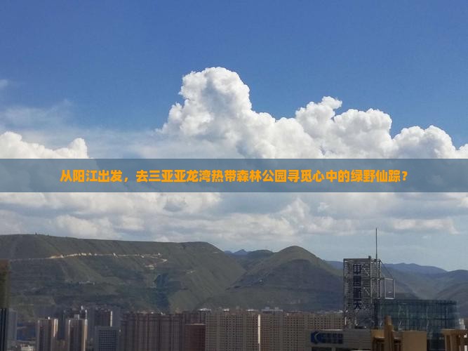 阳江前往三亚亚龙湾热带森林公园旅游