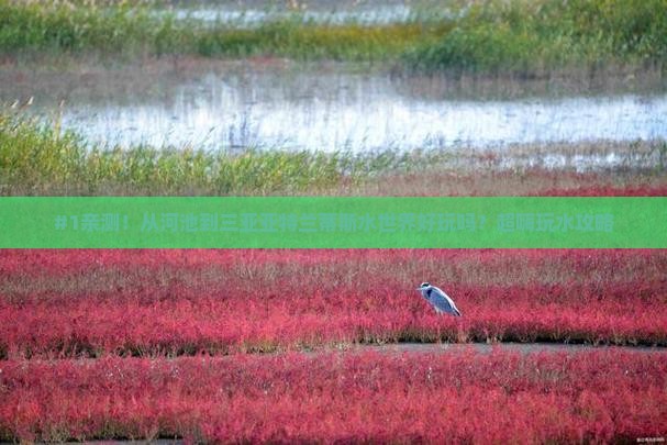 河池出发三亚亚特兰蒂斯水世界必玩地
