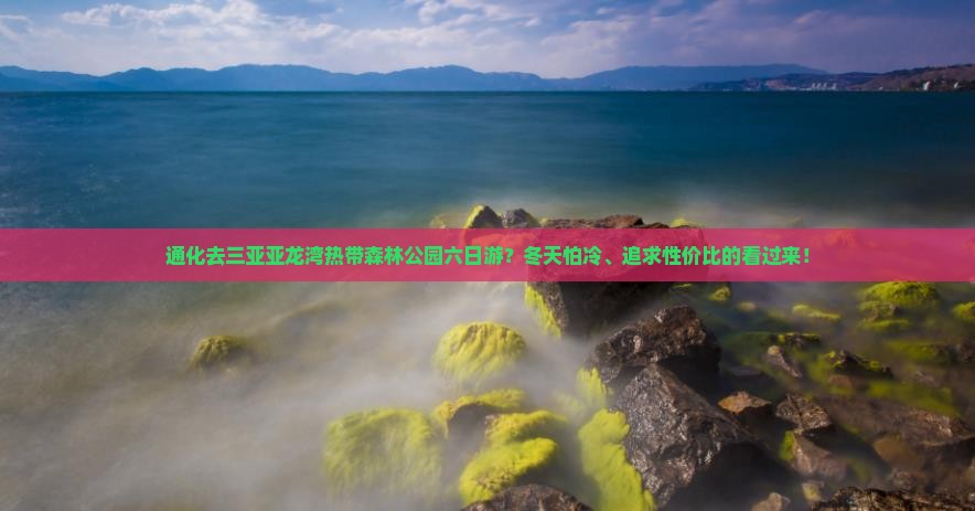 通化去三亚亚龙湾热带森林公园六日游