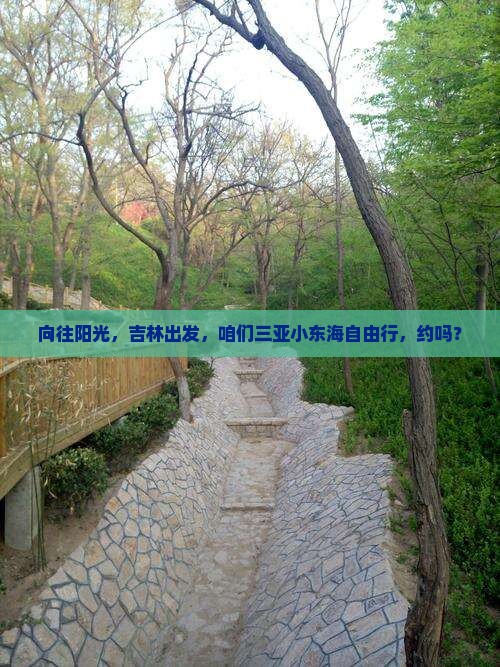 吉林去三亚小东海自由团