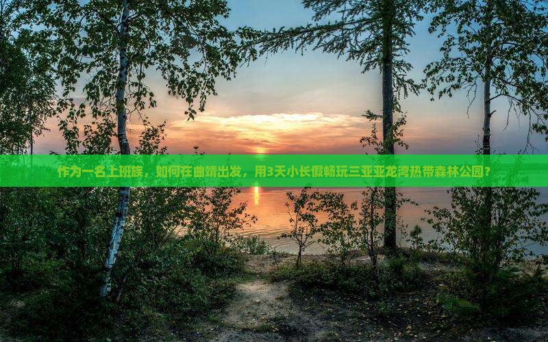 曲靖去三亚亚龙湾热带森林公园哪里玩