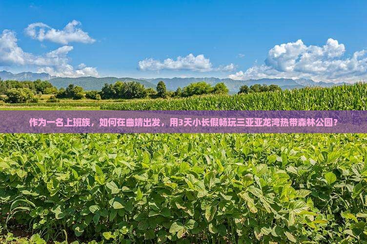 曲靖去三亚亚龙湾热带森林公园哪里玩