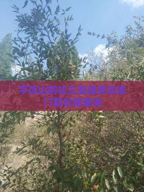 平顶山前往三亚崖洲古城门票