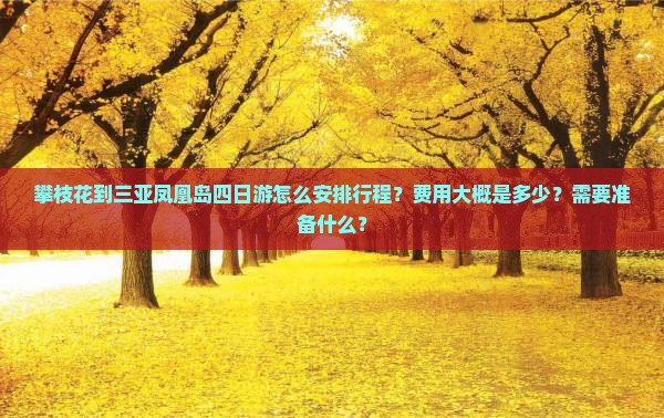 攀枝花前往三亚凤凰岛四日游