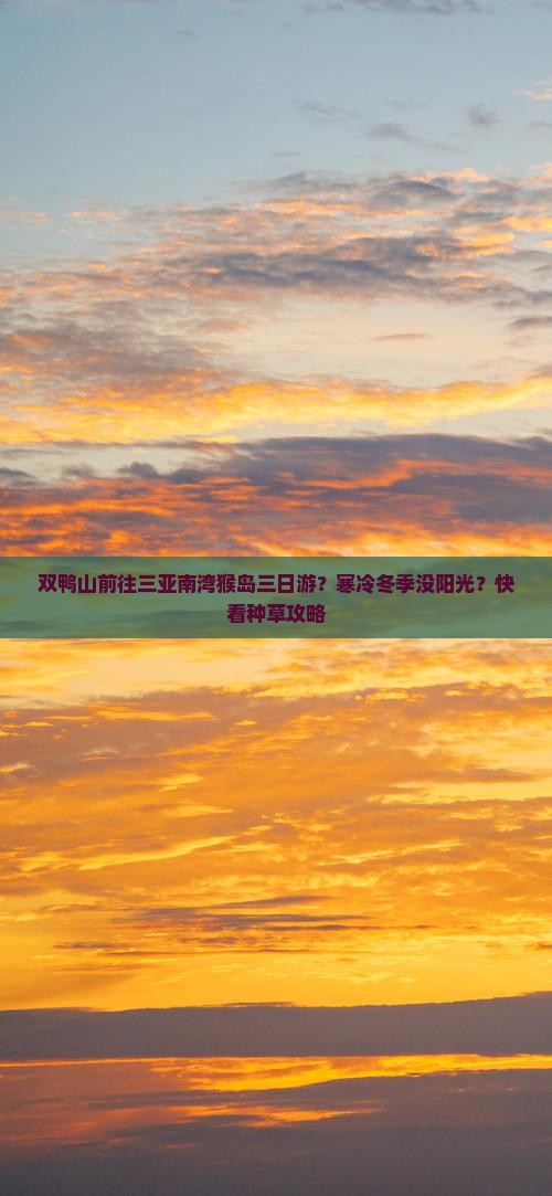 双鸭山前往三亚南湾猴岛三日游