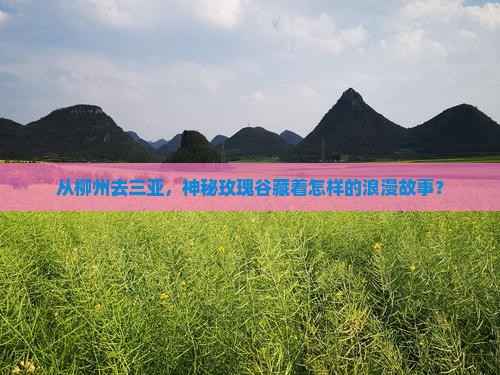 柳州出发三亚亚龙湾国际玫瑰谷团体旅游