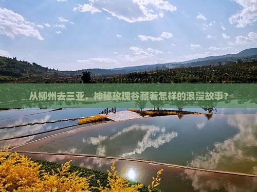 柳州出发三亚亚龙湾国际玫瑰谷团体旅游