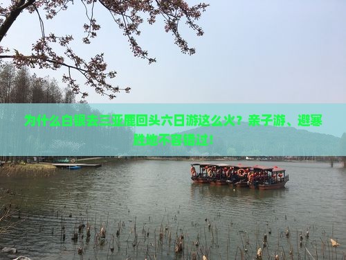 白银去三亚鹿回头六日游