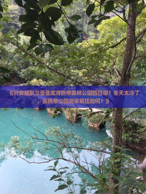 兴安盟出发三亚亚龙湾热带森林公园四日游