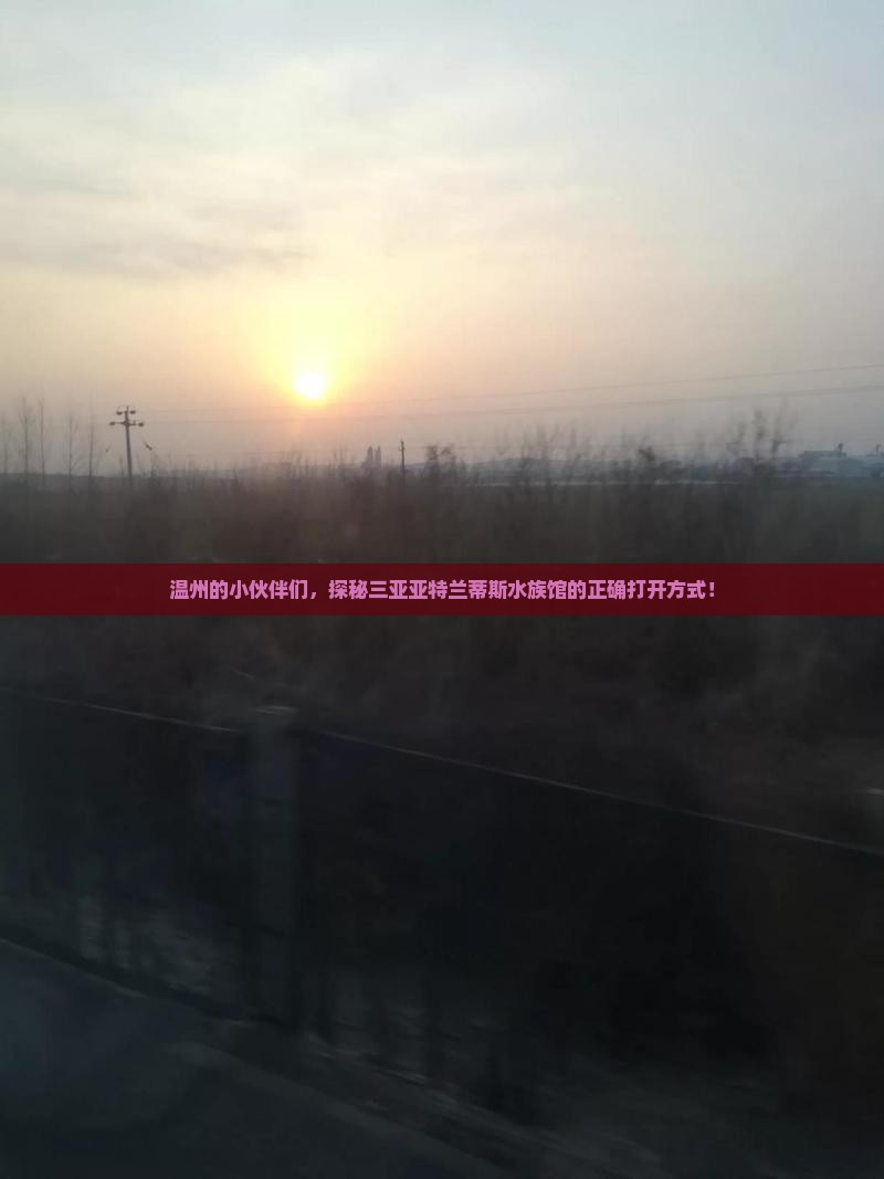 温州出发三亚亚特兰蒂斯水族馆攻略