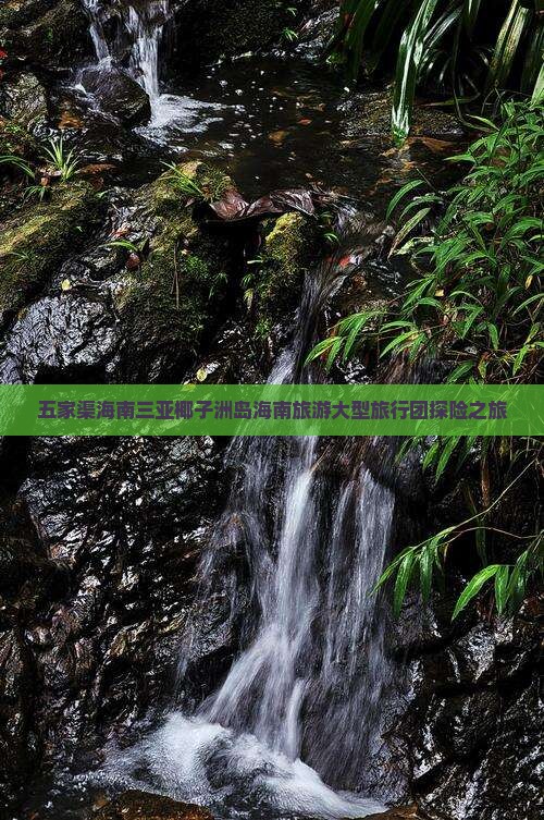五家渠前往三亚椰子洲岛大型旅游团