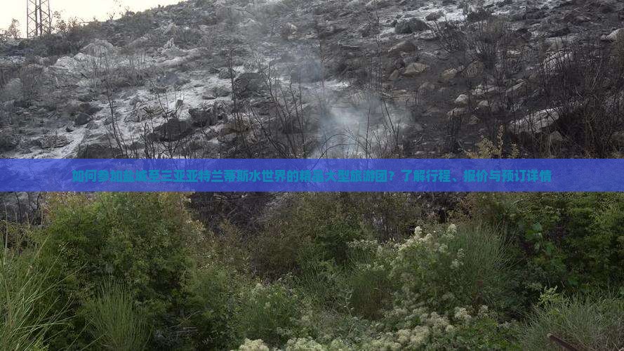盐城前往三亚亚特兰蒂斯水世界大型旅游团