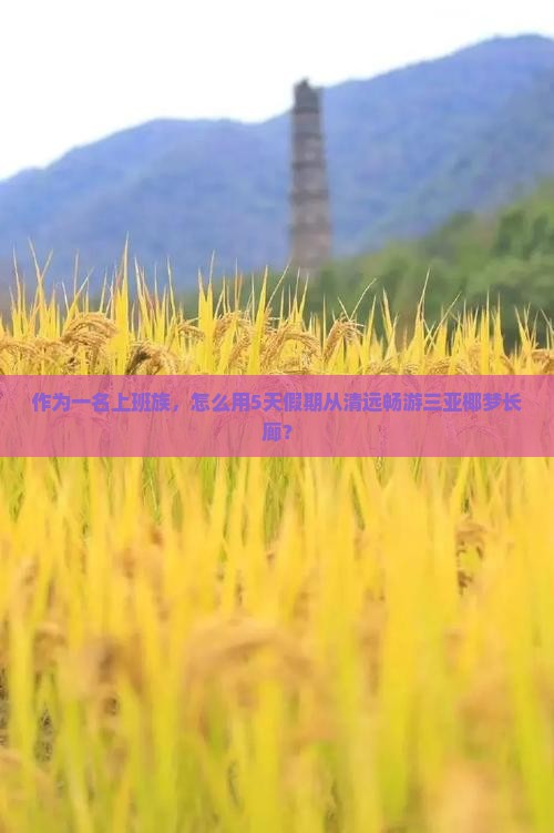 清远出发三亚椰梦长廊五日游