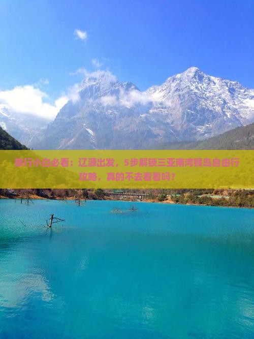 辽源去三亚南湾猴岛旅游