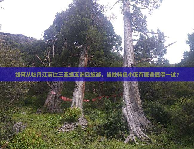 牡丹江去三亚蜈支洲岛旅游小吃 牡丹江去三亚蜈支洲岛旅游小吃