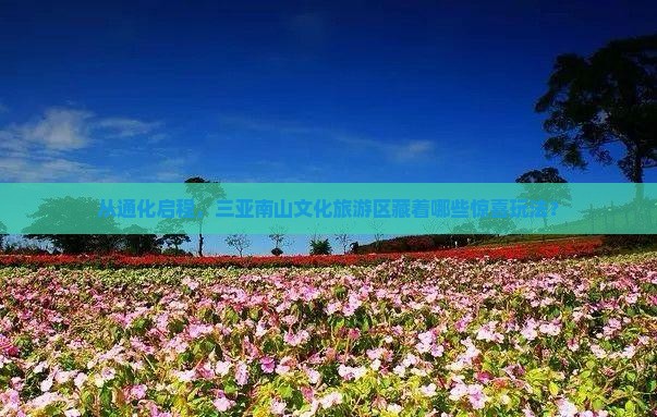 通化出发三亚南山文化旅游区哪里玩