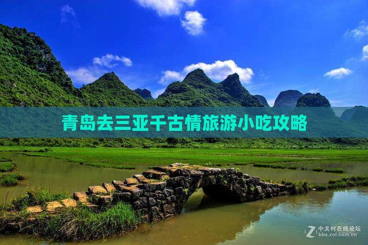 青岛去三亚千古情旅游小吃