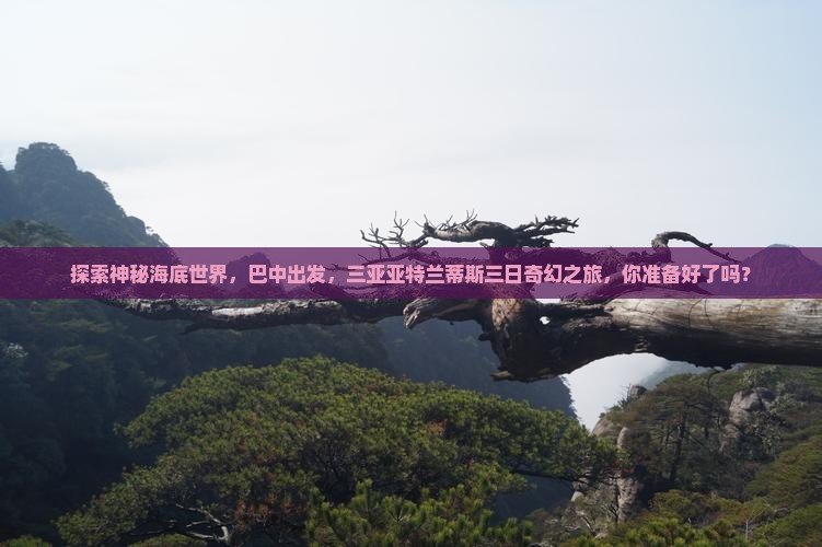 巴中前往三亚亚特兰蒂斯水族馆三日游