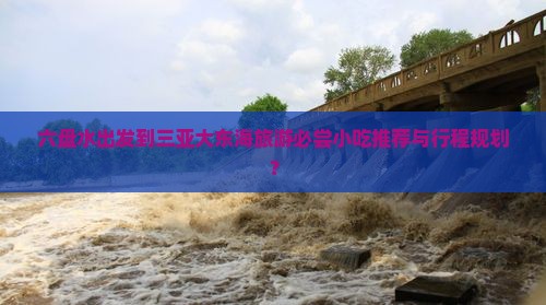 六盘水去三亚大东海旅游小吃