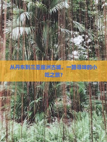 丹东去三亚崖洲古城旅游小吃