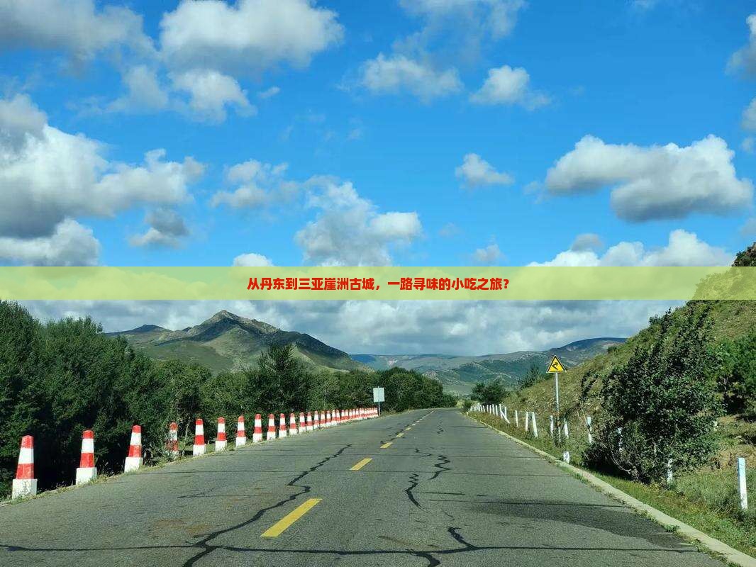 丹东去三亚崖洲古城旅游小吃