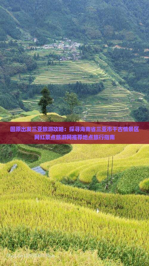 固原去三亚千古情旅游网红地点