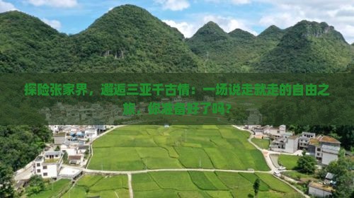 张家界前往三亚千古情自由团