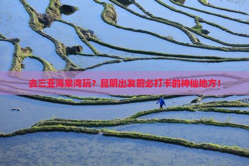 昆明前往三亚海棠湾必玩地