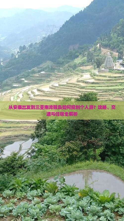 安康出发三亚南湾猴岛个人游