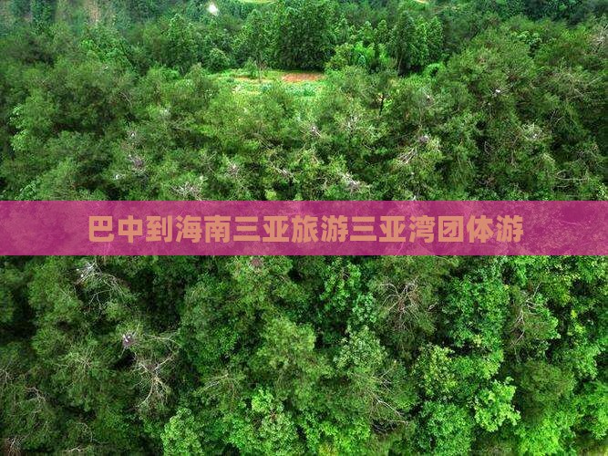 巴中出发三亚三亚湾团体旅游