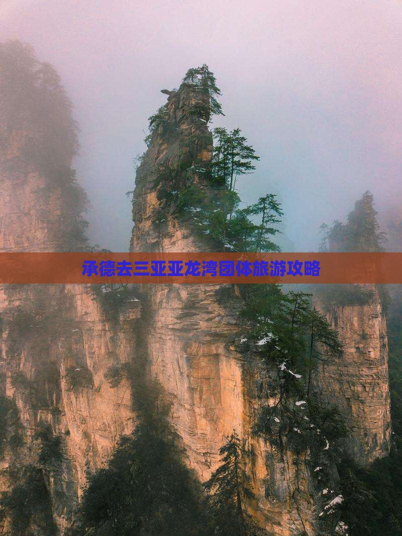 承德去三亚亚龙湾团体旅游