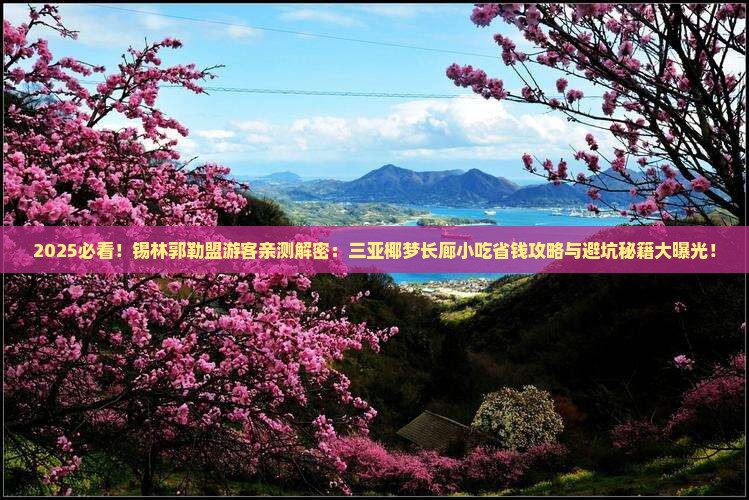 锡林郭勒盟去三亚椰梦长廊旅游小吃