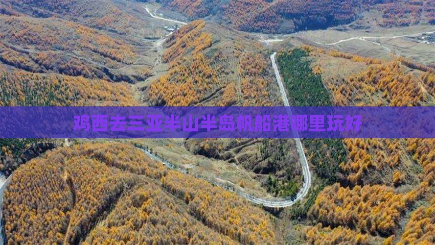 鸡西去三亚半山半岛帆船港哪里玩