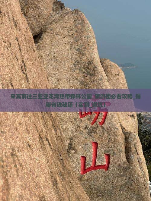 来宾前往三亚亚龙湾热带森林公园大型旅游团
