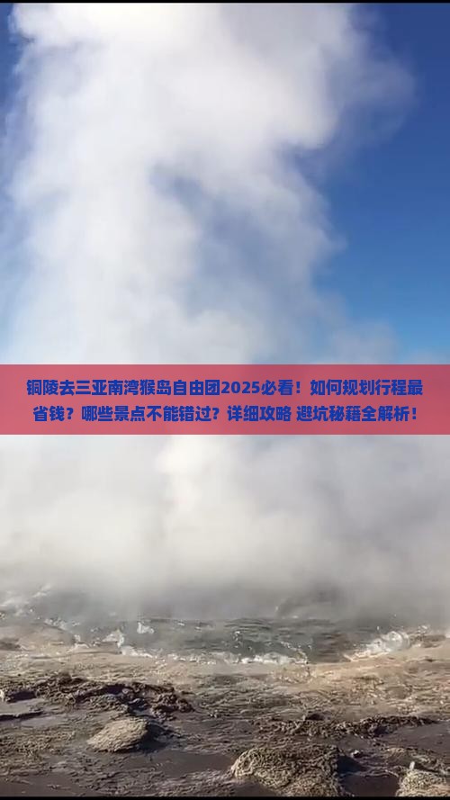 铜陵去三亚南湾猴岛自由团