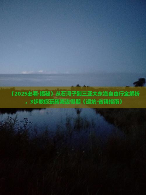 石河子去三亚大东海攻略