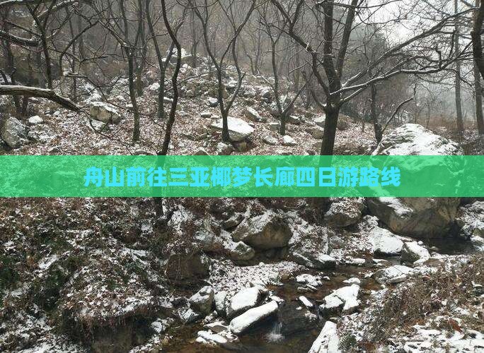 舟山前往三亚椰梦长廊四日游