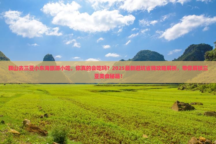 鞍山去三亚小东海旅游小吃