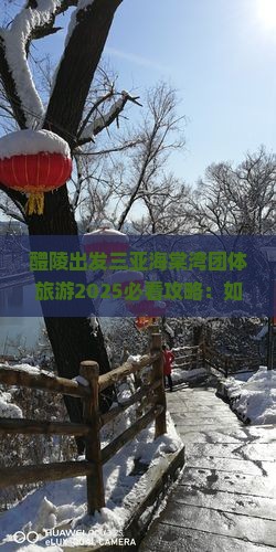 醴陵出发三亚海棠湾团体旅游