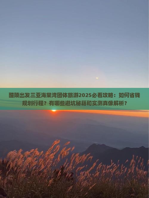 醴陵出发三亚海棠湾团体旅游