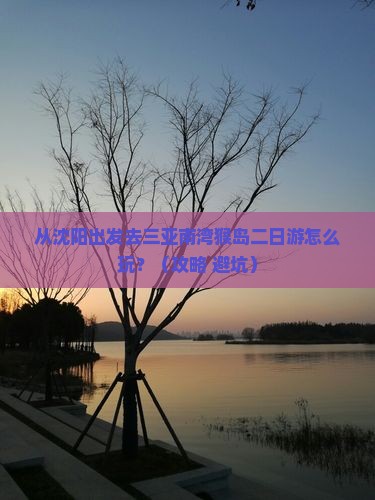 沈阳去三亚南湾猴岛二日游