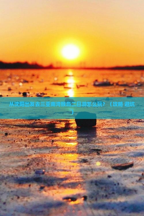 沈阳去三亚南湾猴岛二日游