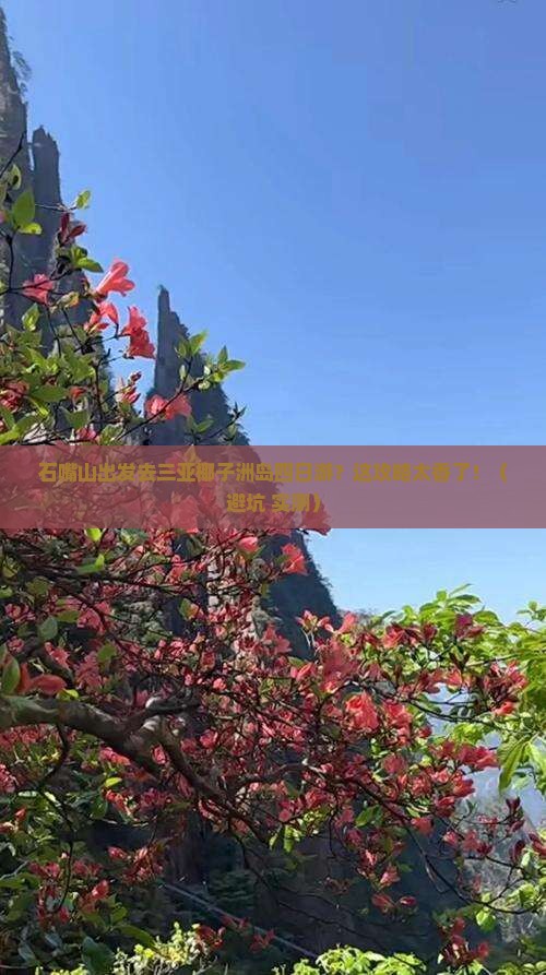 石嘴山出发三亚椰子洲岛四日游