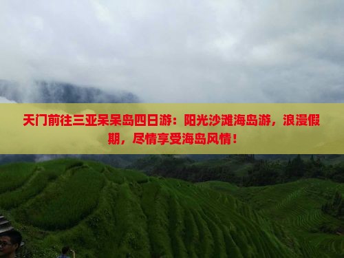 天门前往三亚呆呆岛四日游
