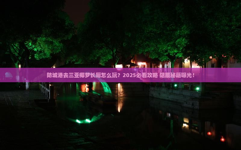 防城港去三亚椰梦长廊必玩地
