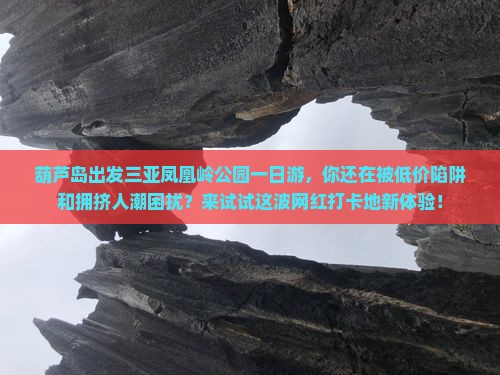 葫芦岛出发三亚凤凰岭公园一日游