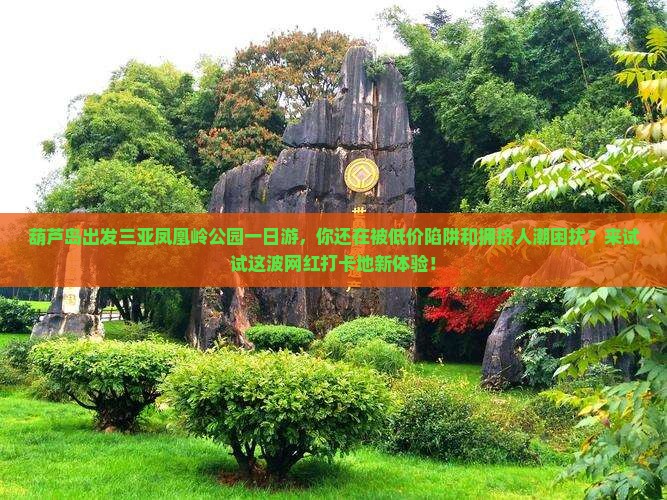 葫芦岛出发三亚凤凰岭公园一日游